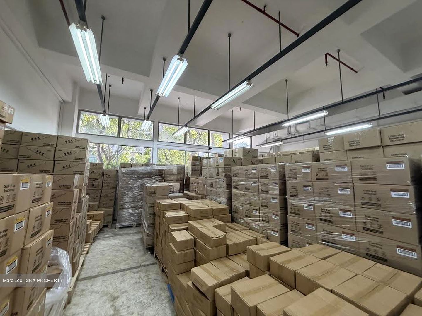 Citipoint Industrial Complex (D14), Factory #624905741